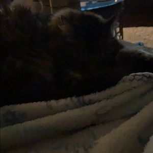 Meet your Posher, Courtney